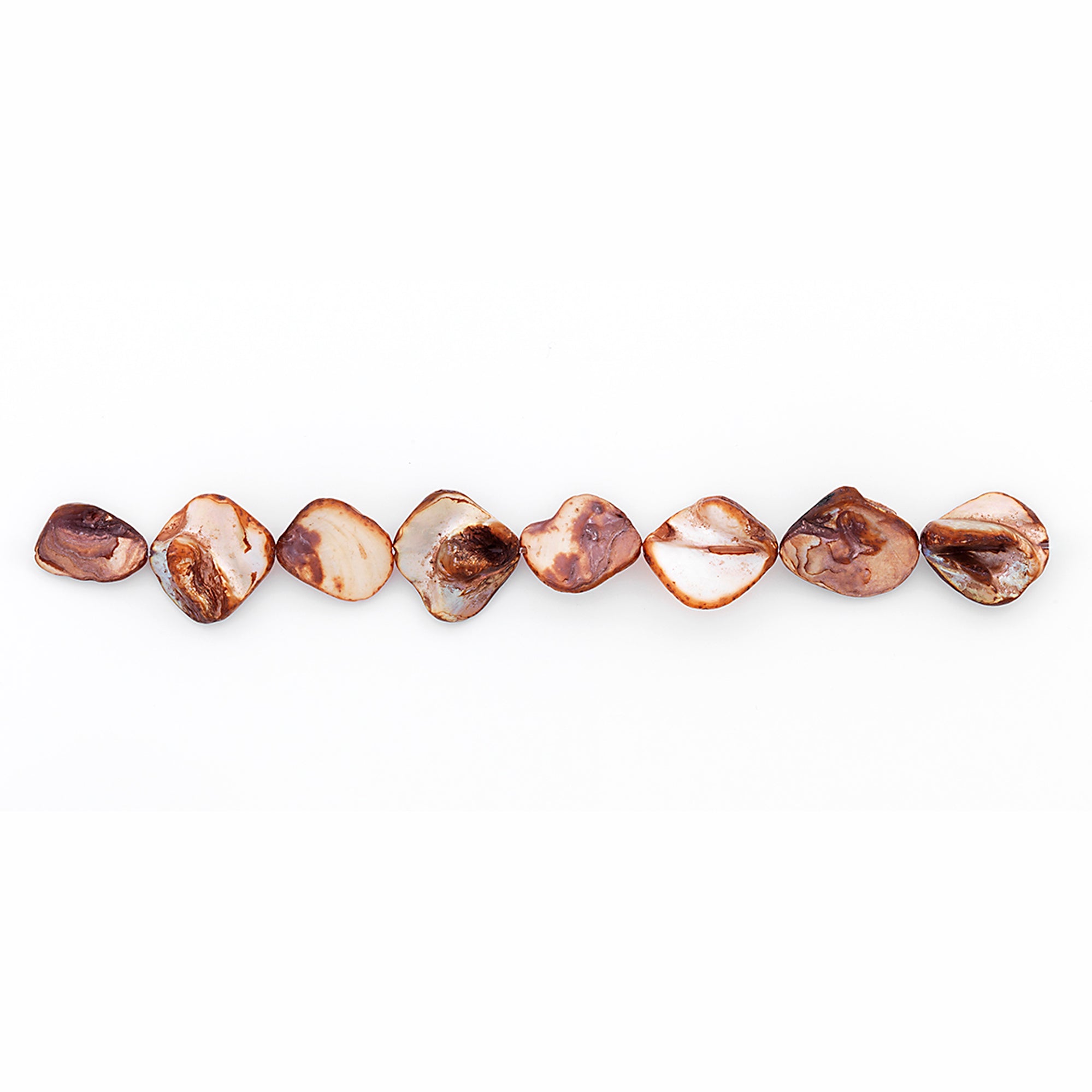 Sea Shell Chunky 12mm-18mm Beads PK/8 Tinted Amber - Natural Shell & Pearl Beads