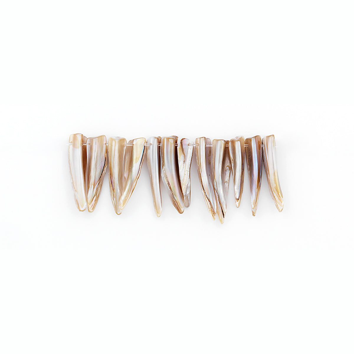 Sea Shell Spike Beads Hand Crafted Natural PK/12 Shell & Pearl Beads