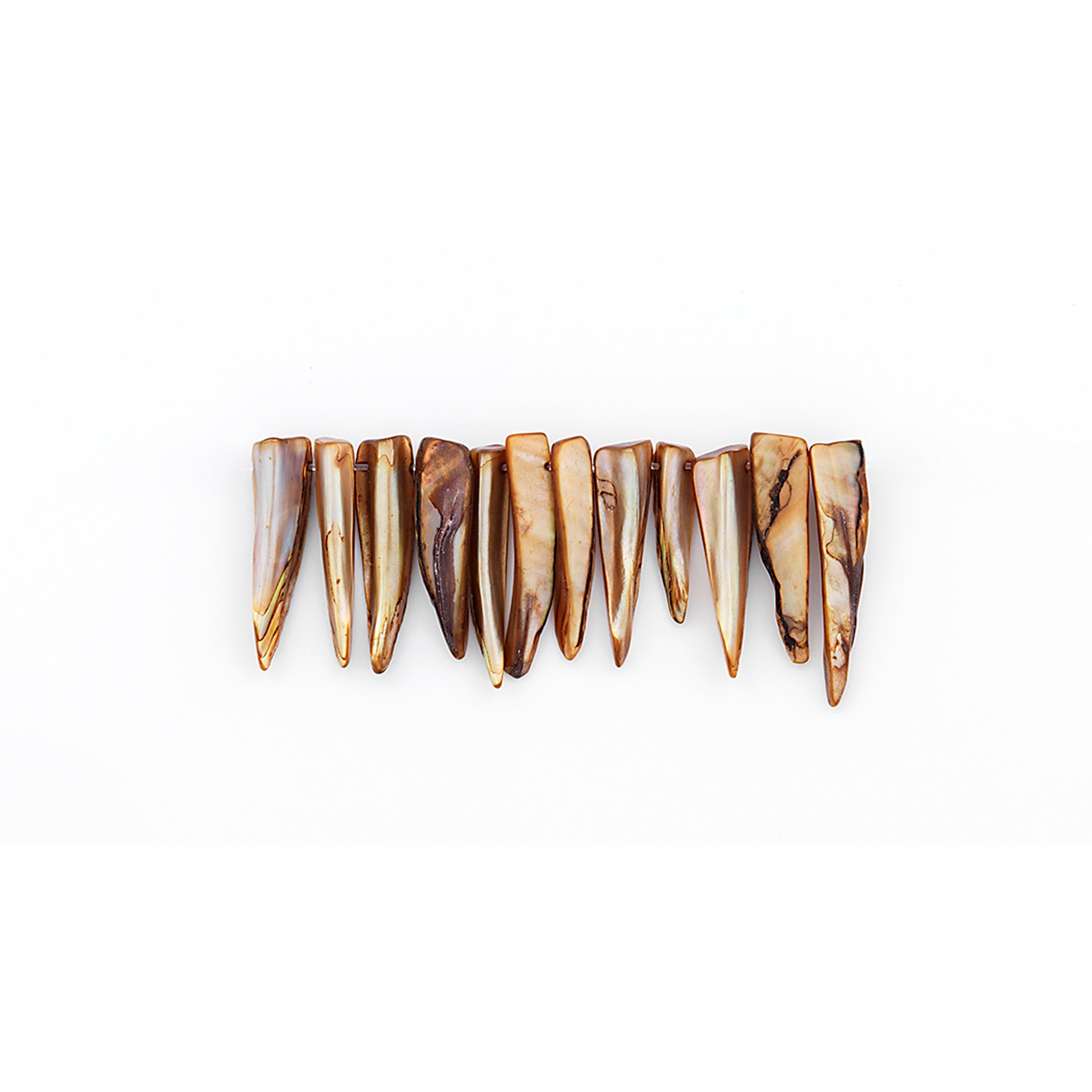 Tinted Shell Spike Beads Amber Pack of 12 - Natural Shell & Pearl Beads