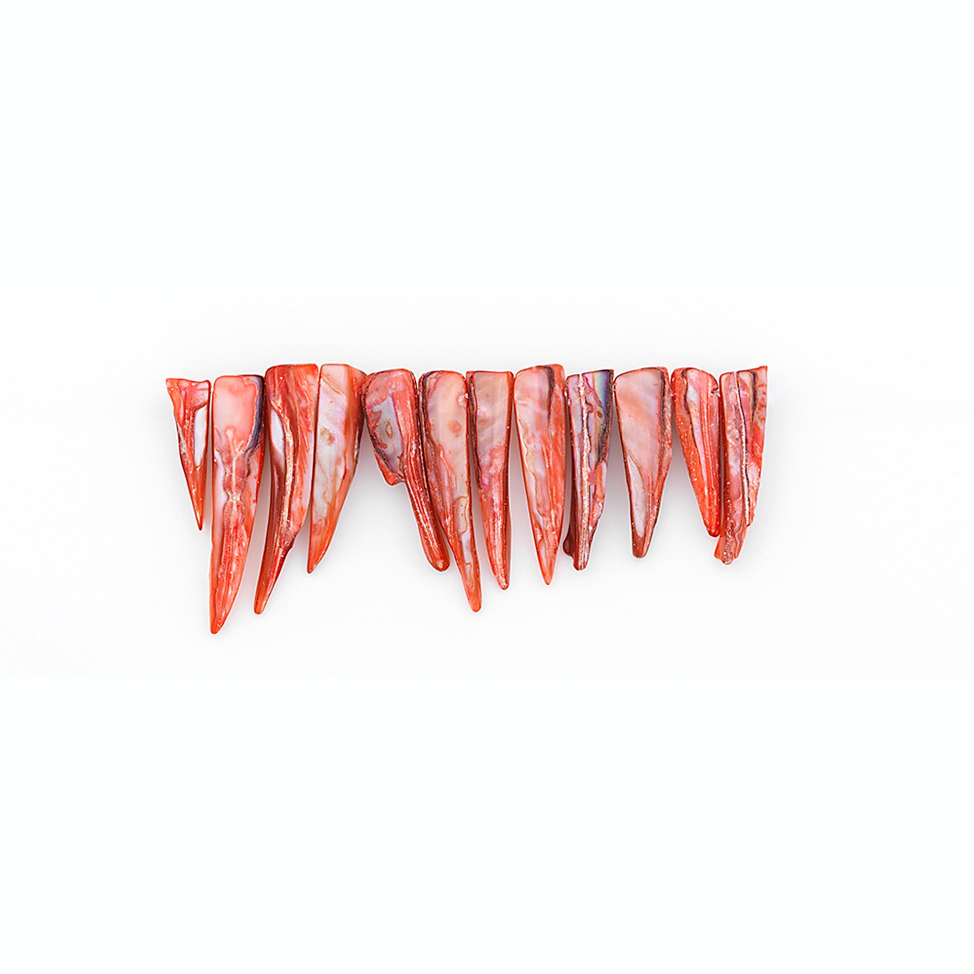 Sea Shell Spike Beads Hand Crafted Tinted Rust PK/12 - Natural Shell & Pearl Beads