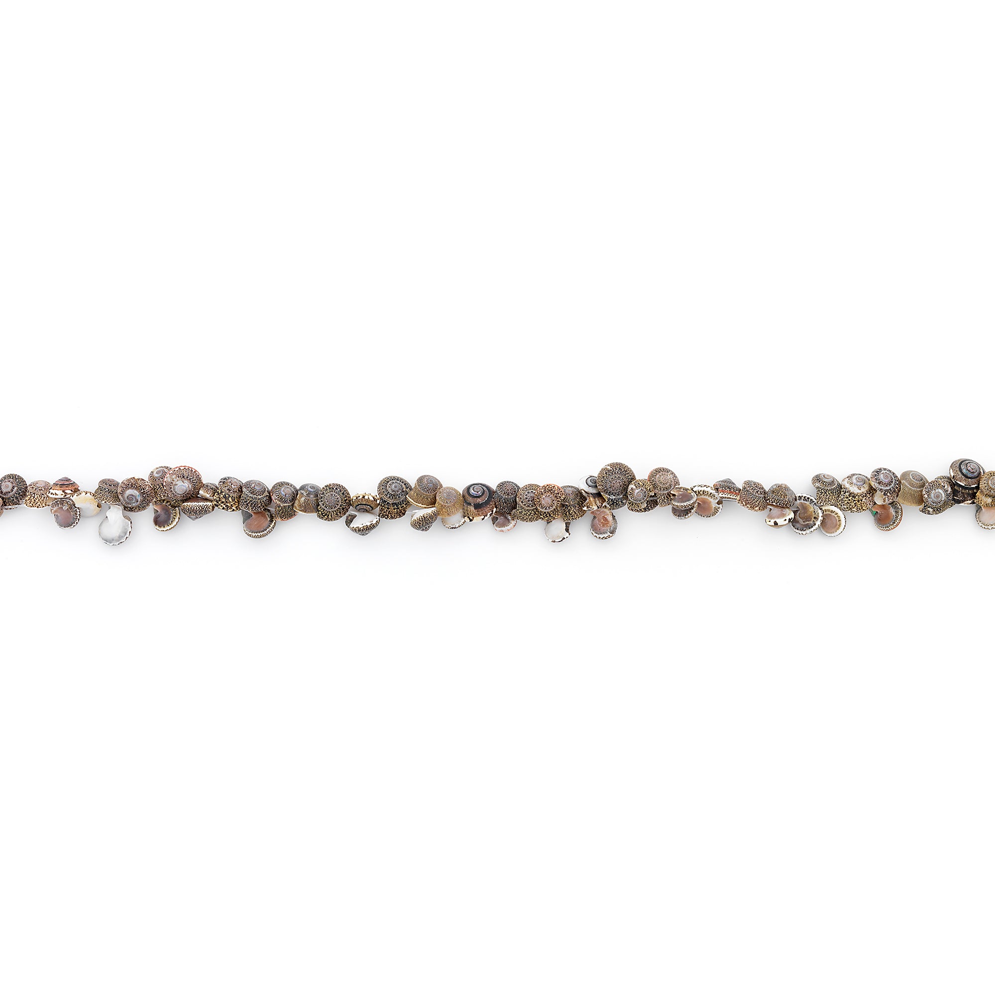 Spotted Mud Shell Beads - 26 pcs. - Natural Shell & Pearl Beads