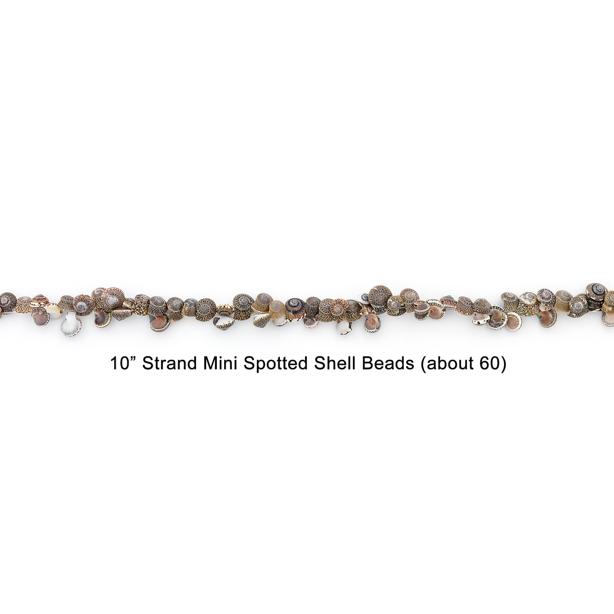 Spotted Mud Shell Beads - 26 pcs. - Natural Shell & Pearl Beads