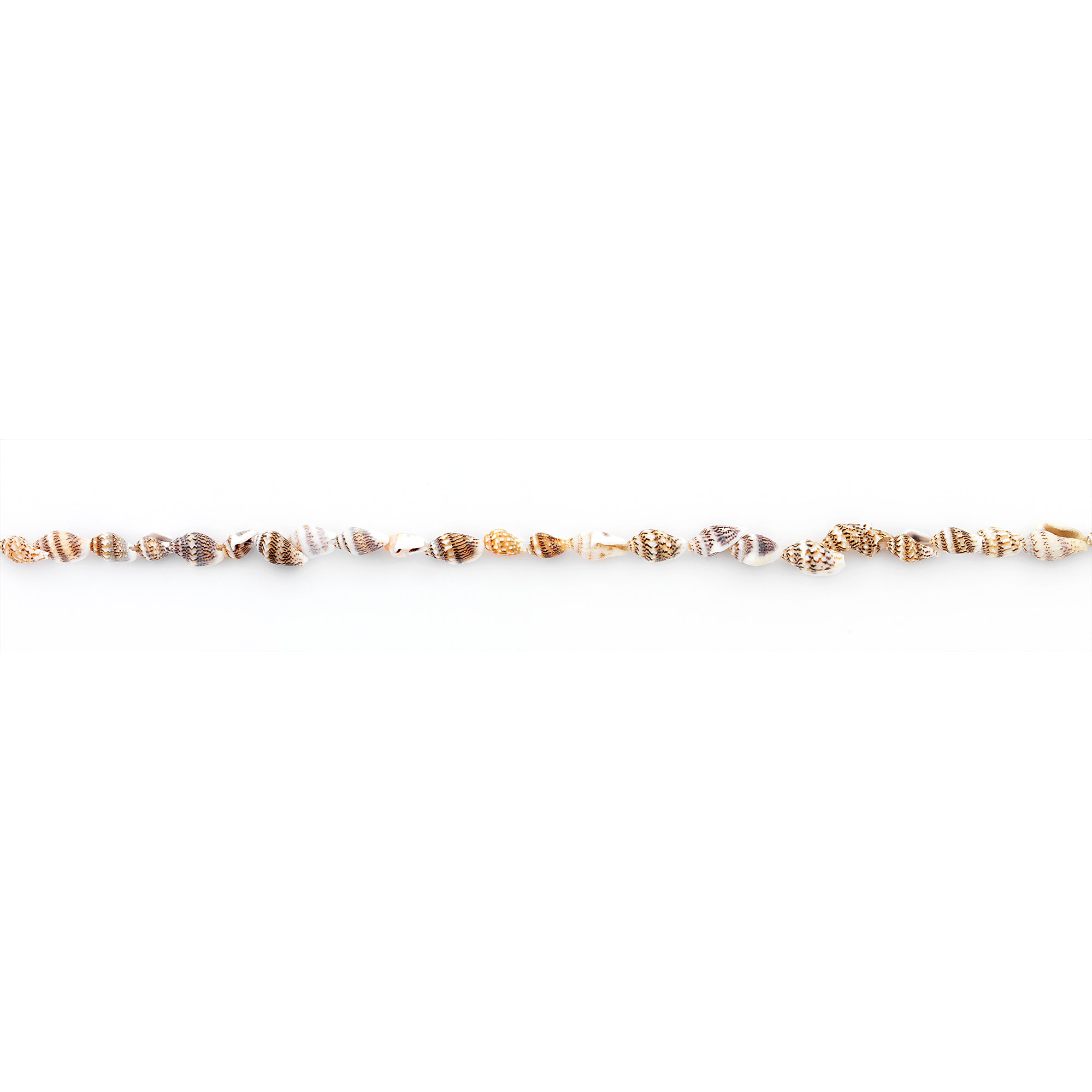 Baby Shell Spotted Beads - 25 Pc Pack - Natural Shell & Pearl Beads
