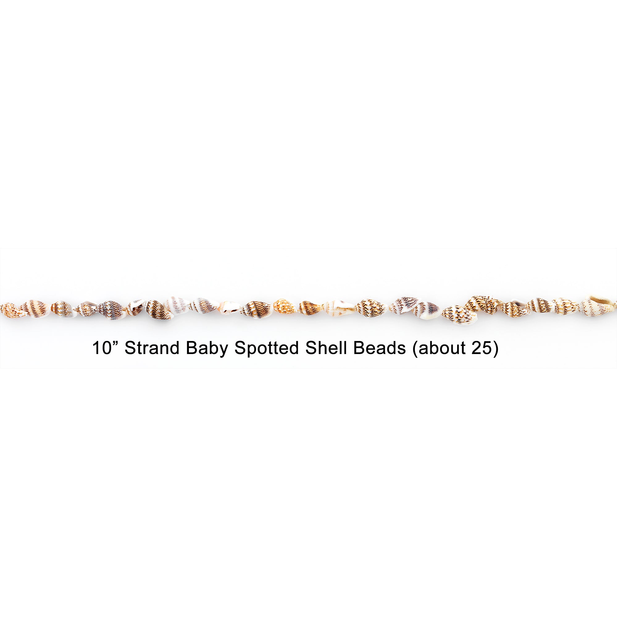 Baby Shell Spotted Beads - 25 Pc Pack - Natural Shell & Pearl Beads