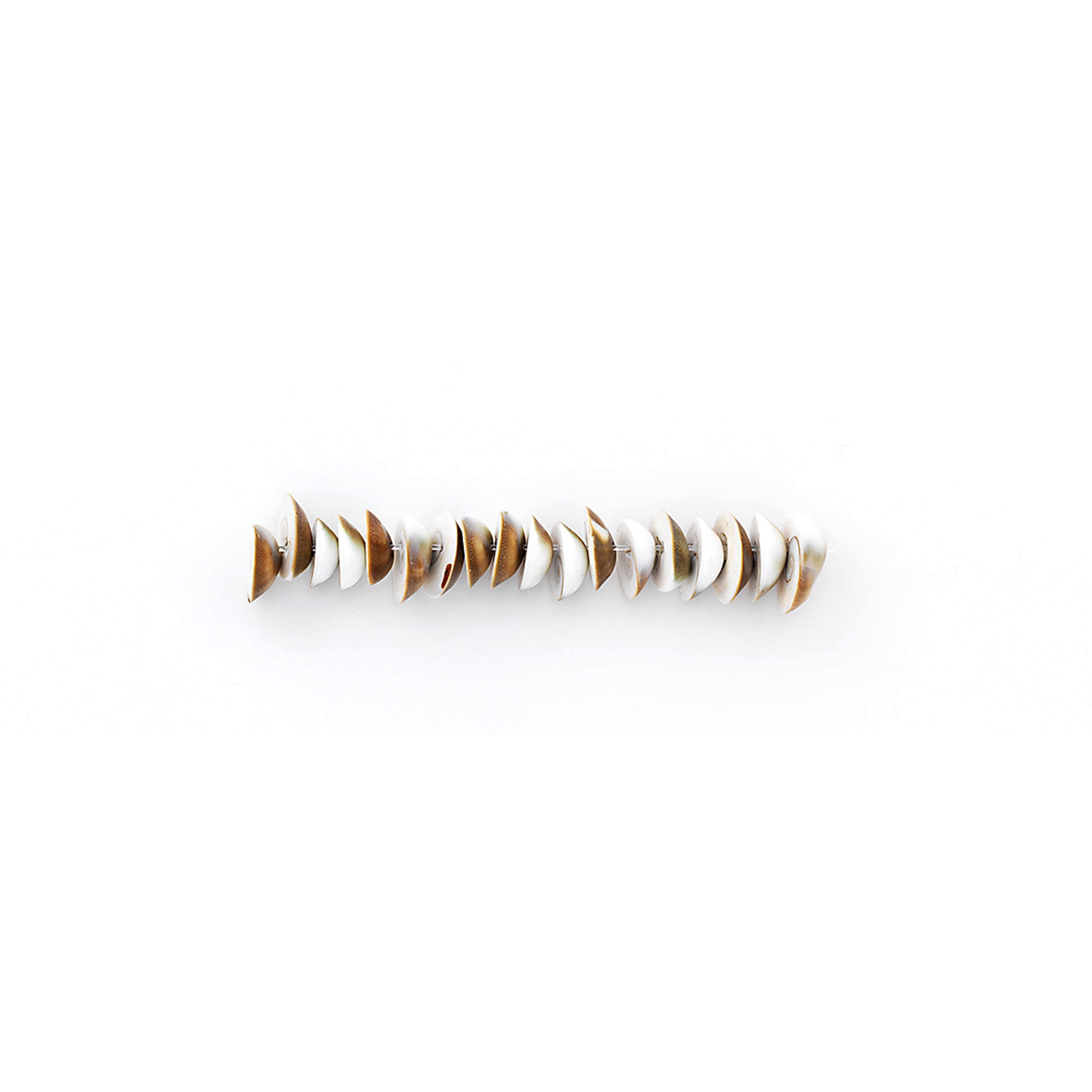 Sea Shell Dome Beads - Natural - 18 pcs. Shell & Pearl Beads