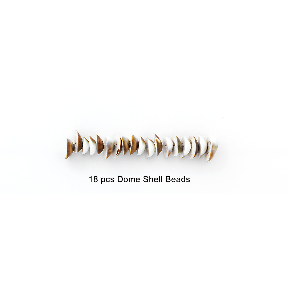 Sea Shell Dome Beads - Natural - 18 pcs. Shell & Pearl Beads