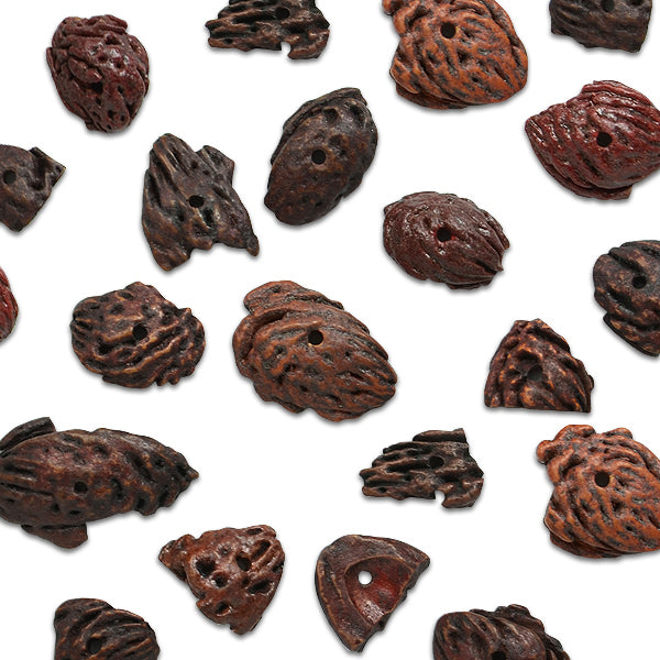Bark Rock Nut Beads - 18 Pieces - Natural Nut & Coconut Beads