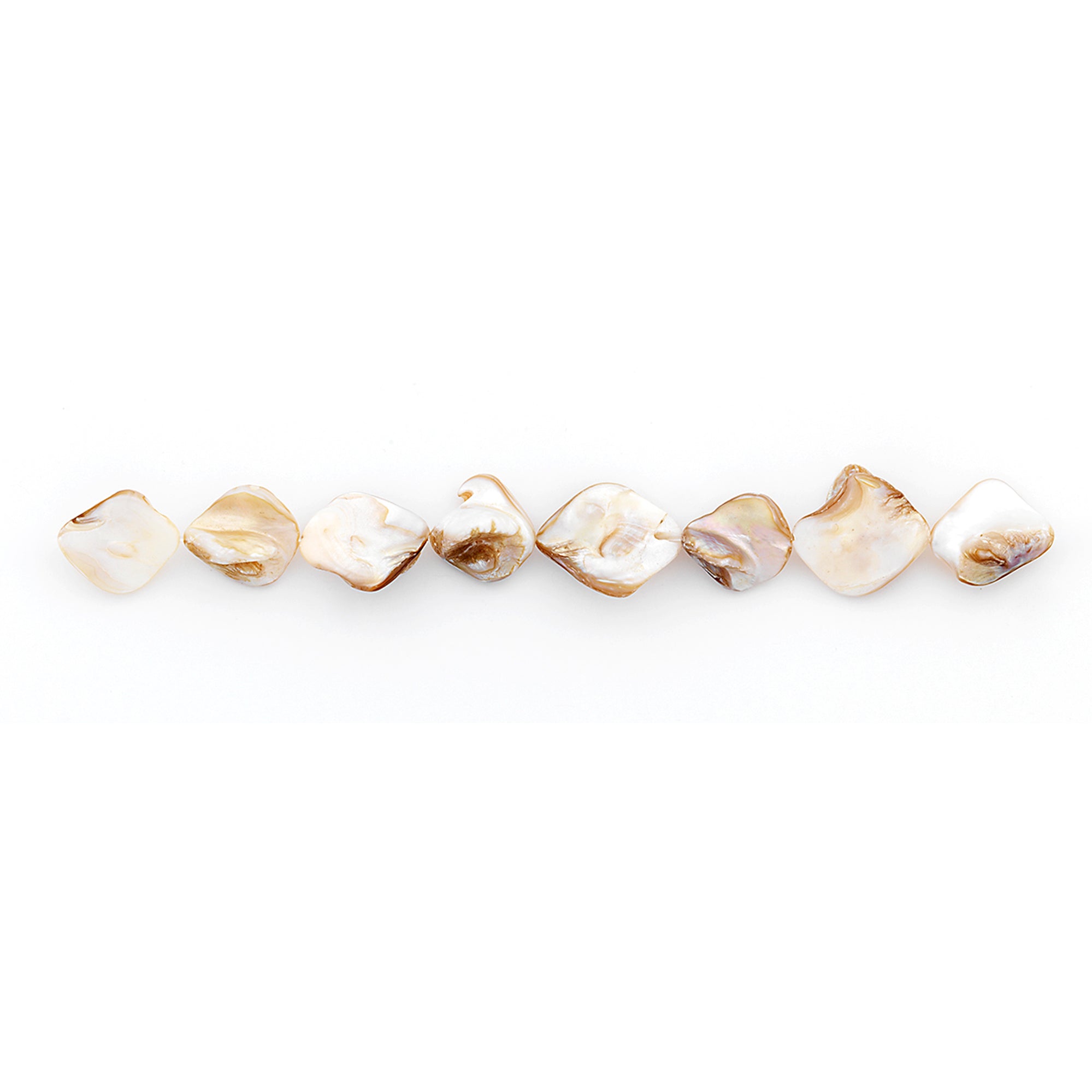 Sea Shell Chunky 12mm-18mm Beads PK/8 Tinted Natural Shell & Pearl Beads
