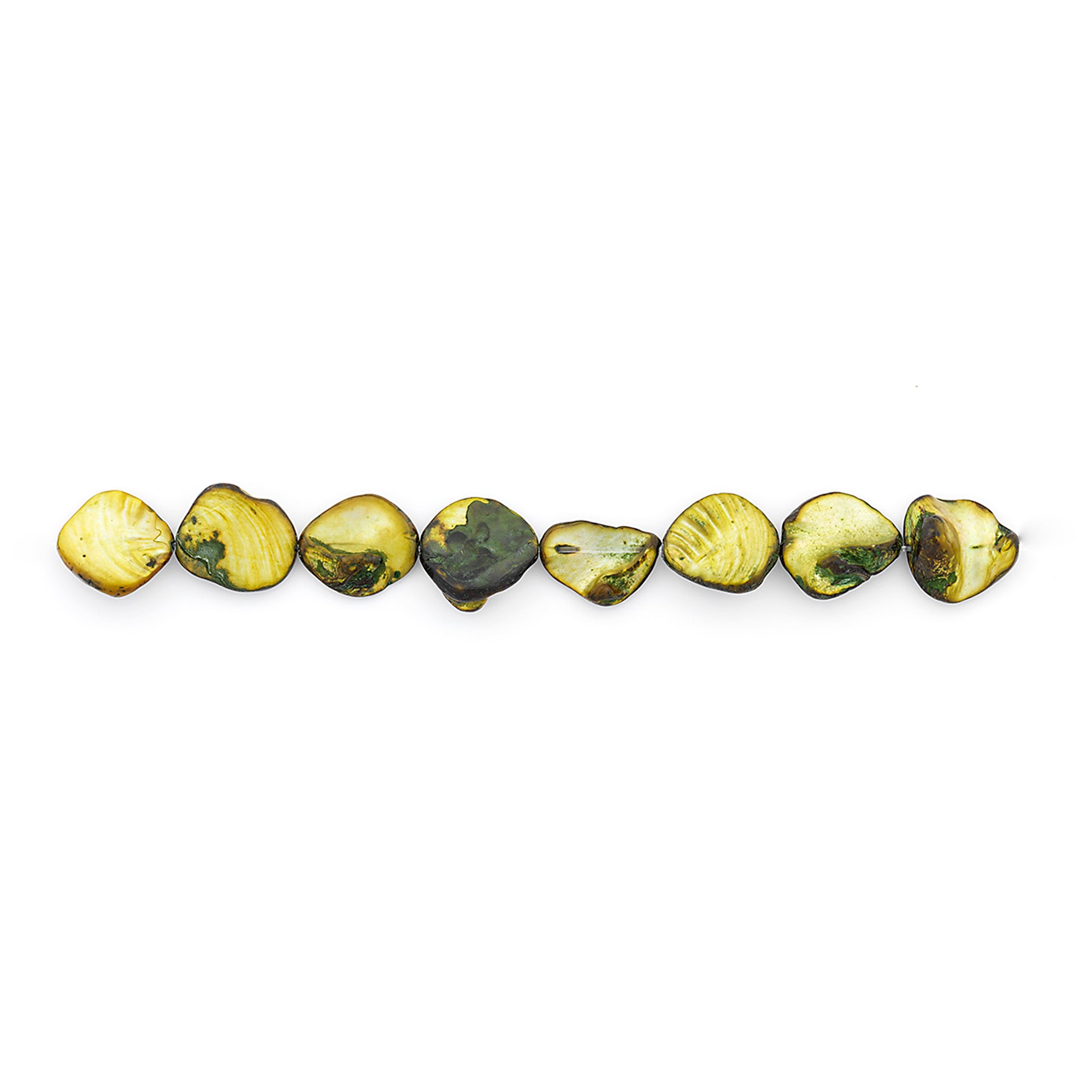 Sea Shell Chunky 12mm-18mm Beads PK/8 Tinted Olive - Natural Shell & Pearl Beads