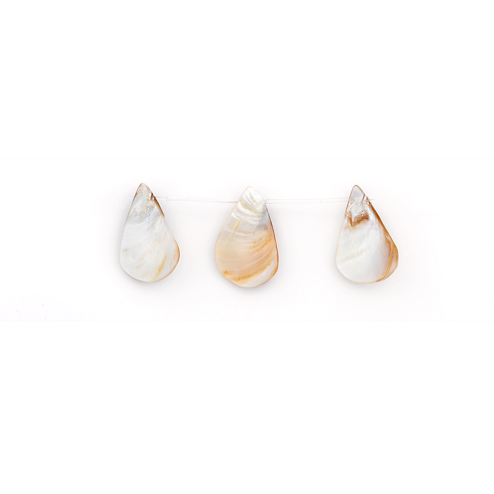 Sea Shell Hand Crafted Fan/Drop Shape Beads/Pandants Gray - Natural Shell & Pearl Beads