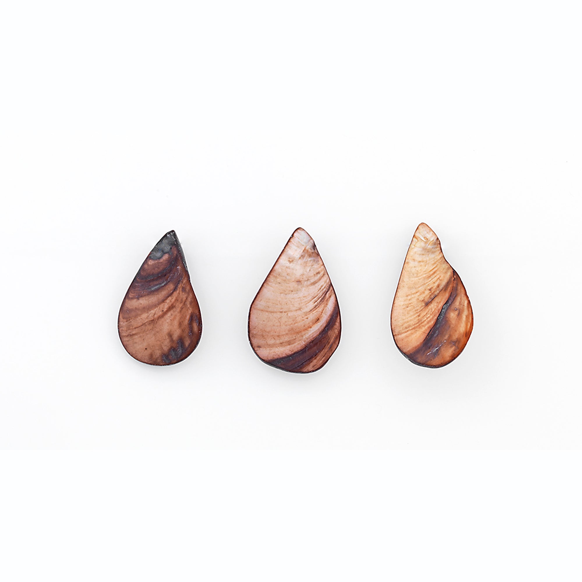 Sea Shell Fan/Drop Shape Beads/Pendants PK/3 - Natural Shell & Pearl Beads