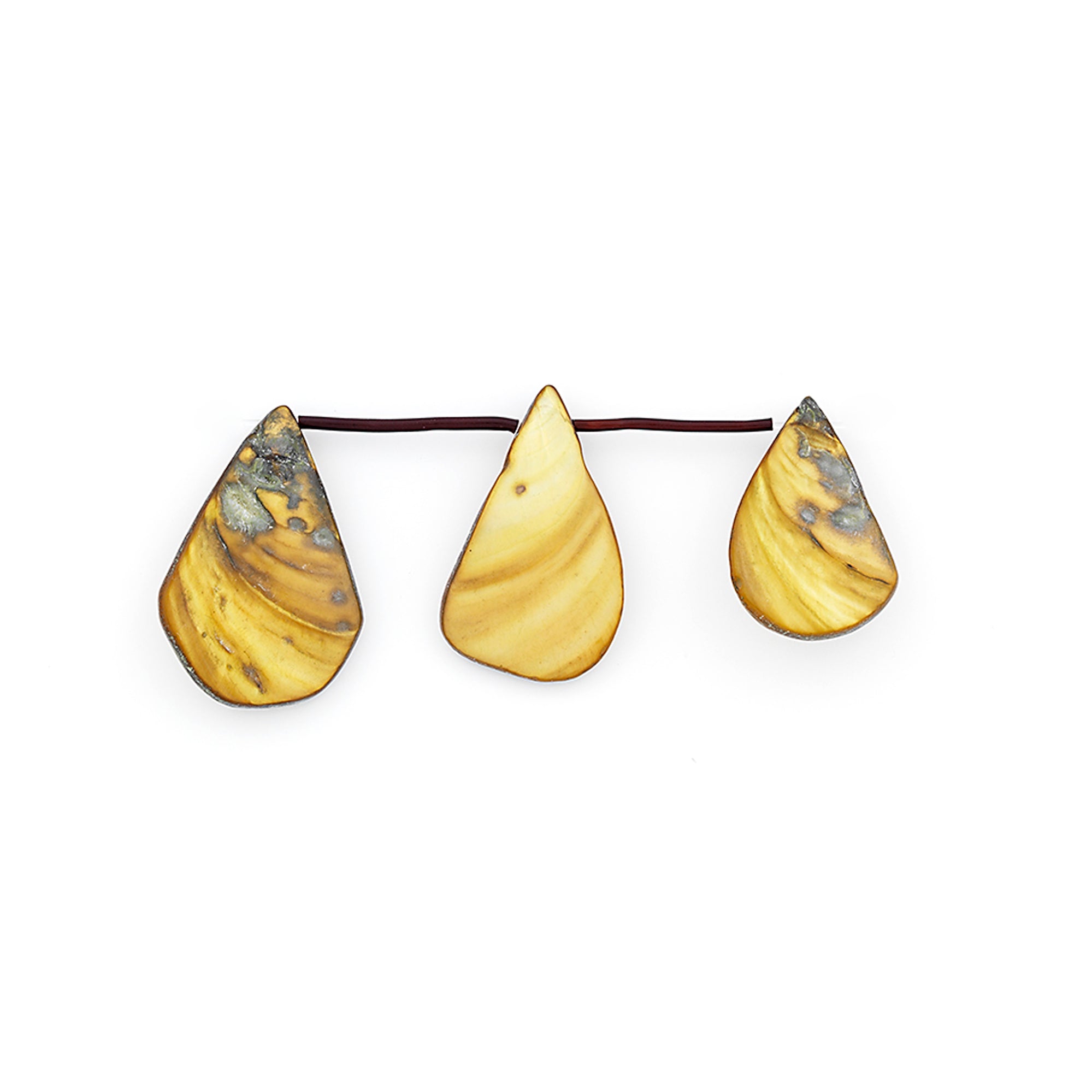 Sea Shell Fan/Drop Shape Beads/Pendants - Olive - PK/3 - Natural Shell & Pearl Beads