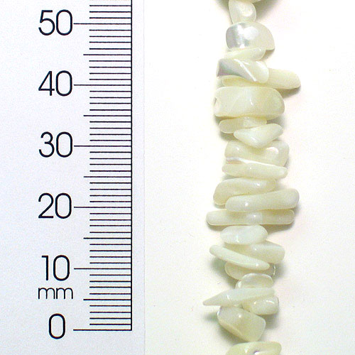 Shell Chips - Natural - 2 x 8" Strand Shell & Pearl Beads