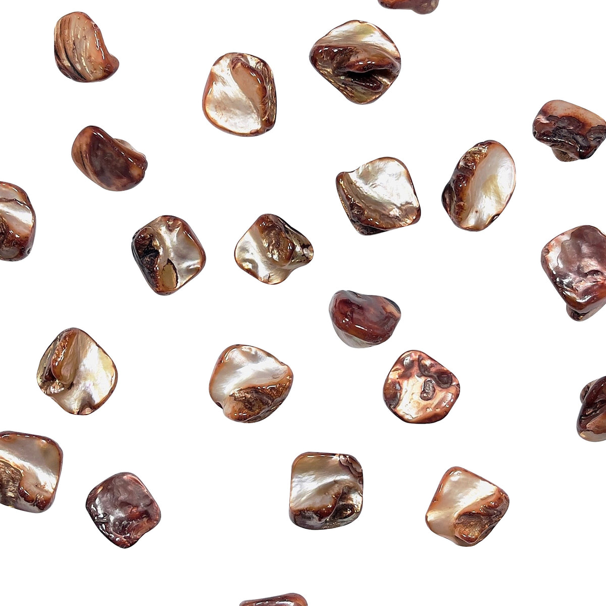 Sea Shell Chunky Beads 12mm-18mm on 16" Strand (20-22 bds) Beig - Natural Shell & Pearl Beads