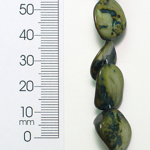 Sea Shell Chunky Beads 12mm-18mm on 16" Strand (20-22 bds) Teal - Natural Shell & Pearl Beads