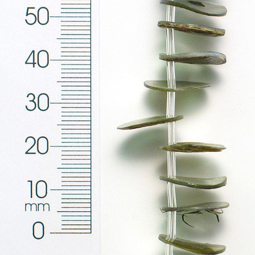 Button Tinted Shell Beads - Olive - 15mm - 2 x 8" Strand - Natural Shell & Pearl Beads