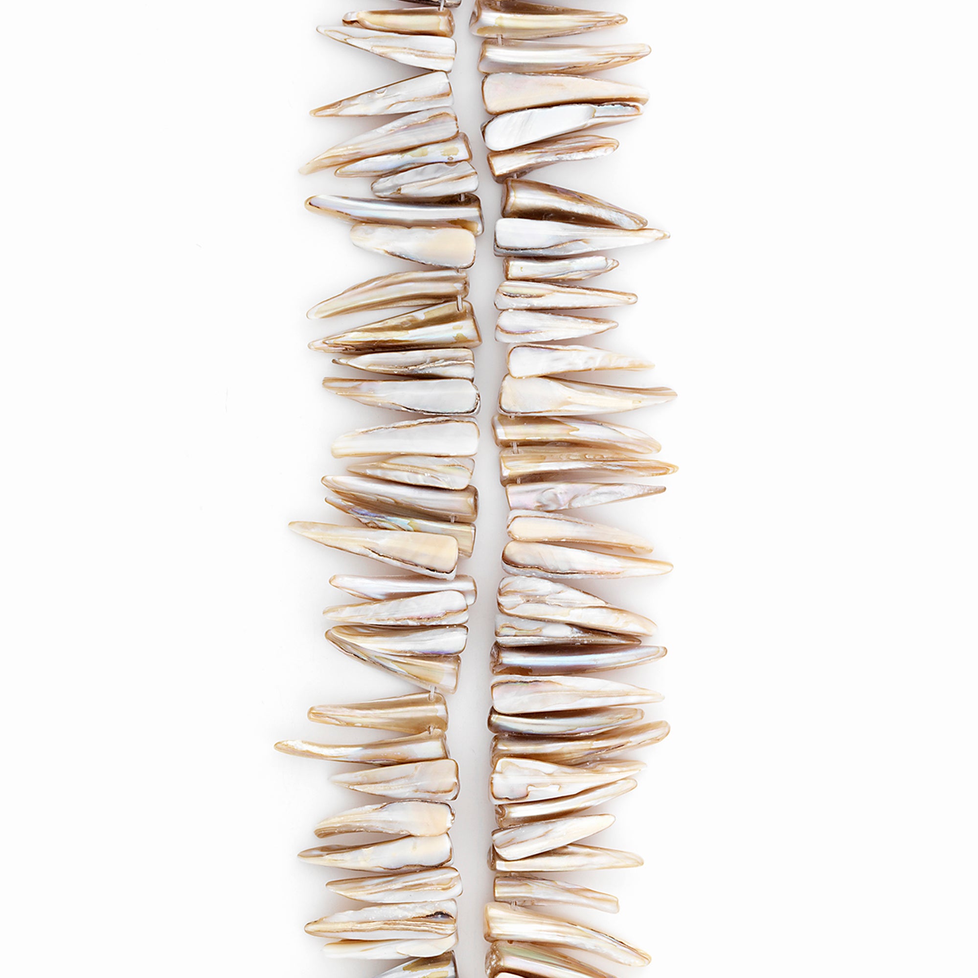 Sea Shell Spike Beads 16" Strand (62-66 ) Hand Crafted Natural Shell & Pearl Beads