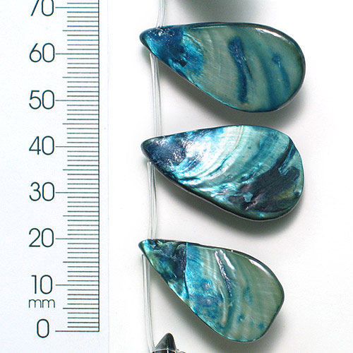 Fan Tinted Shell Beads - 2 x 8" Strand - Blue Shell & Pearl Beads