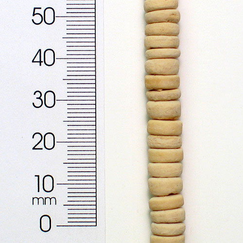 Coconut Beads 8mm Disks Ivory 2/8" - Natural Nut & Coconut Beads