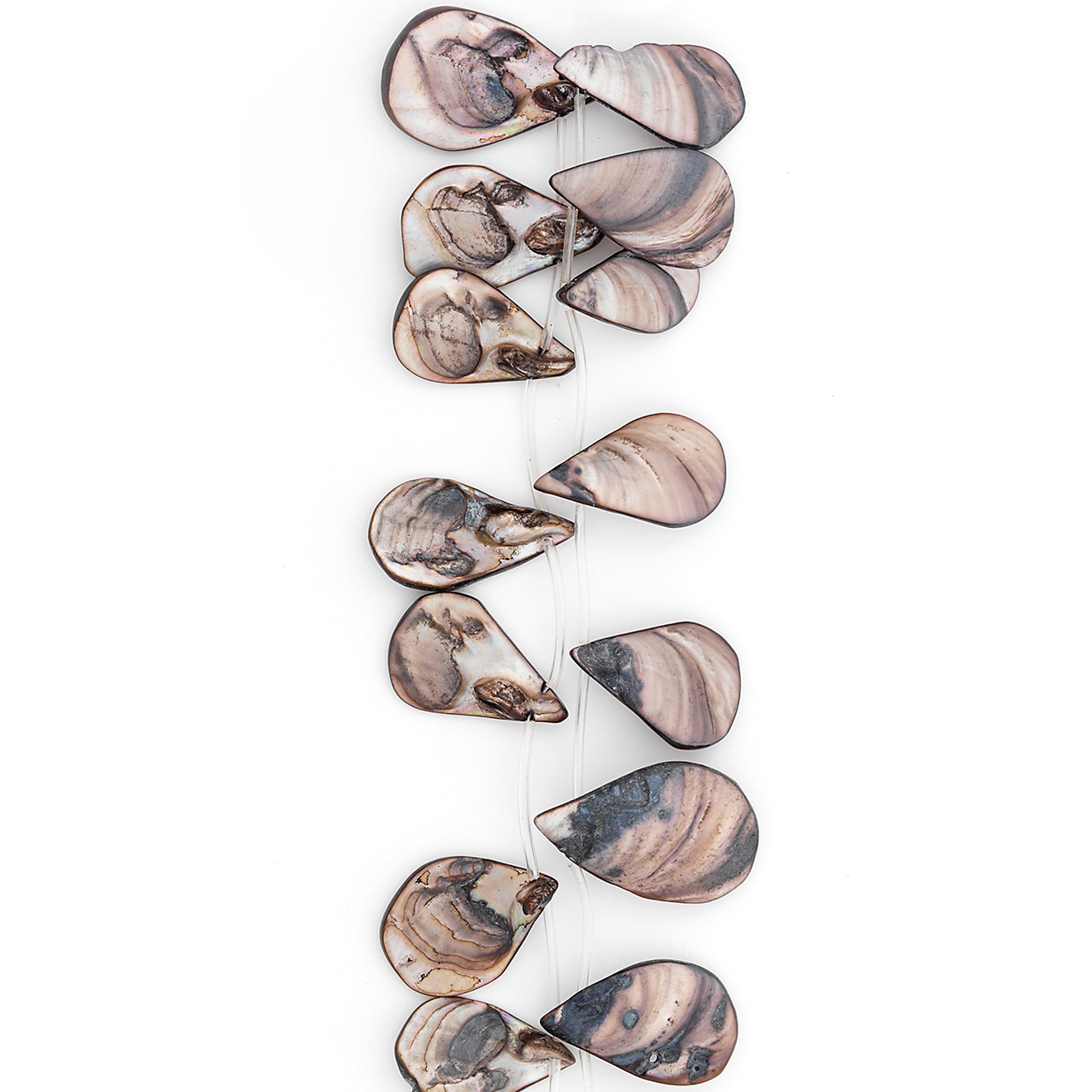 Sea Shell Hand Crafted Fan/Drop Shape Beads/Pendants Slate - Natural Shell & Pearl Beads