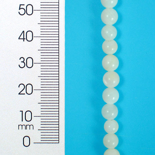 Tinted Shell 5mm Round Natural 2x8" Strand Shell & Pearl Beads