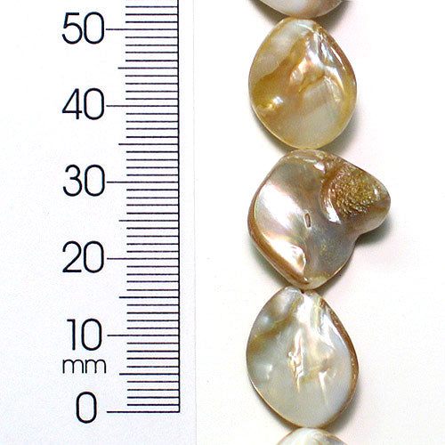 Sea Shell Chunky Beads 12mm-18mm on 16" Strand (20-22 bds) - Natural Shell & Pearl Beads