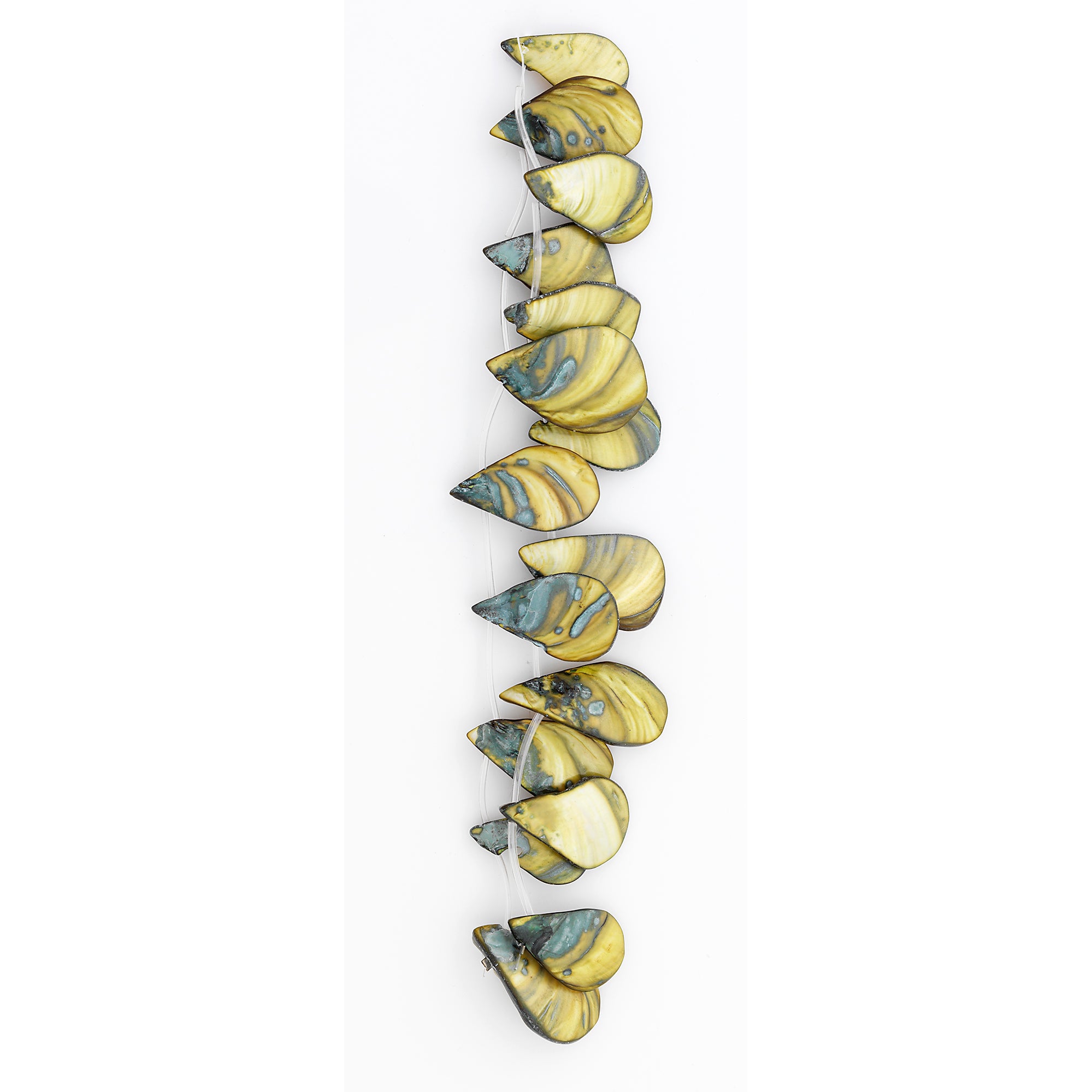 Sea Shell Hand Crafted Fan/Drop Shape Beads/Pandants - Natural Shell & Pearl Beads