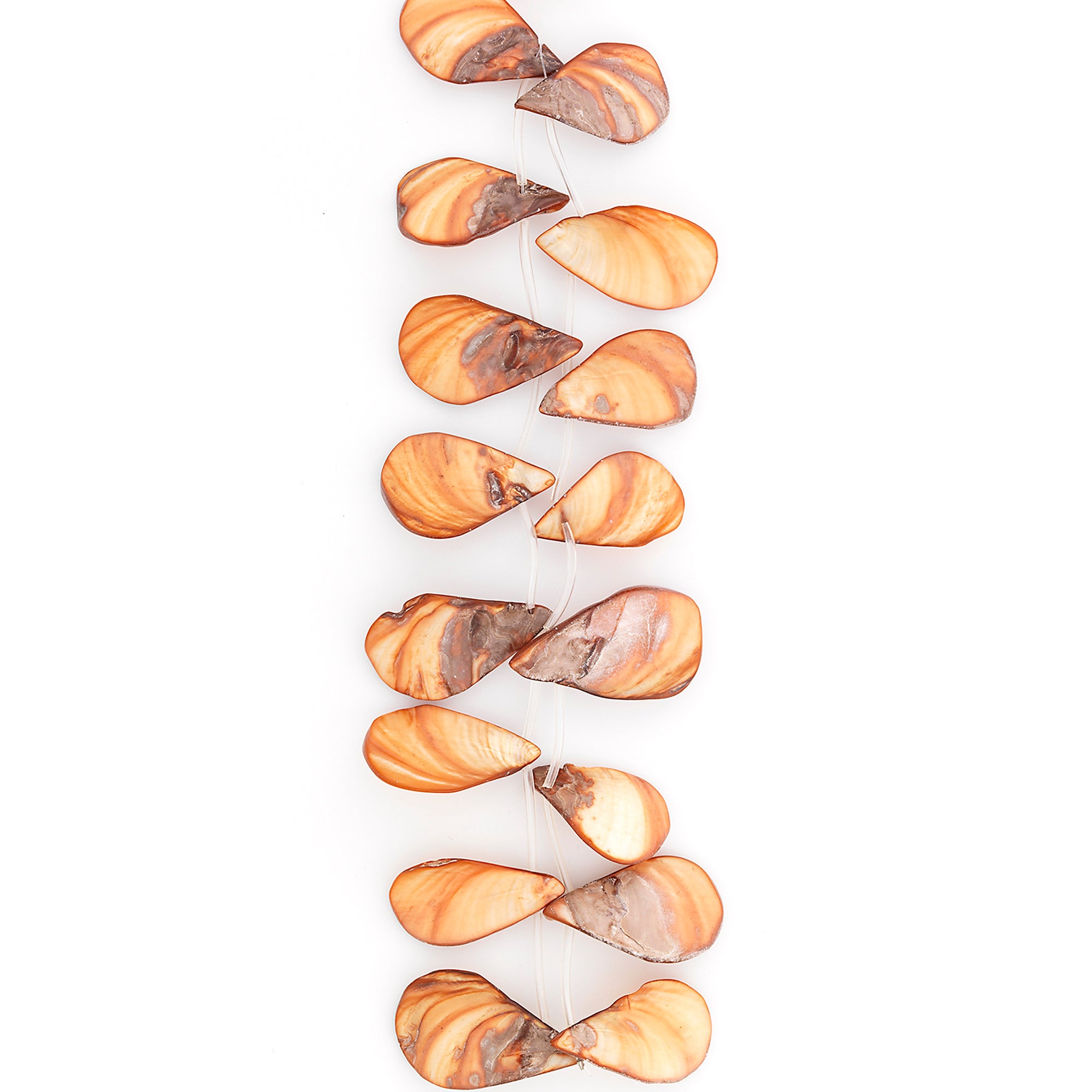 Sea Shell Hand Crafted Fan/Drop Shape Beads/Pandants - Natural Shell & Pearl Beads