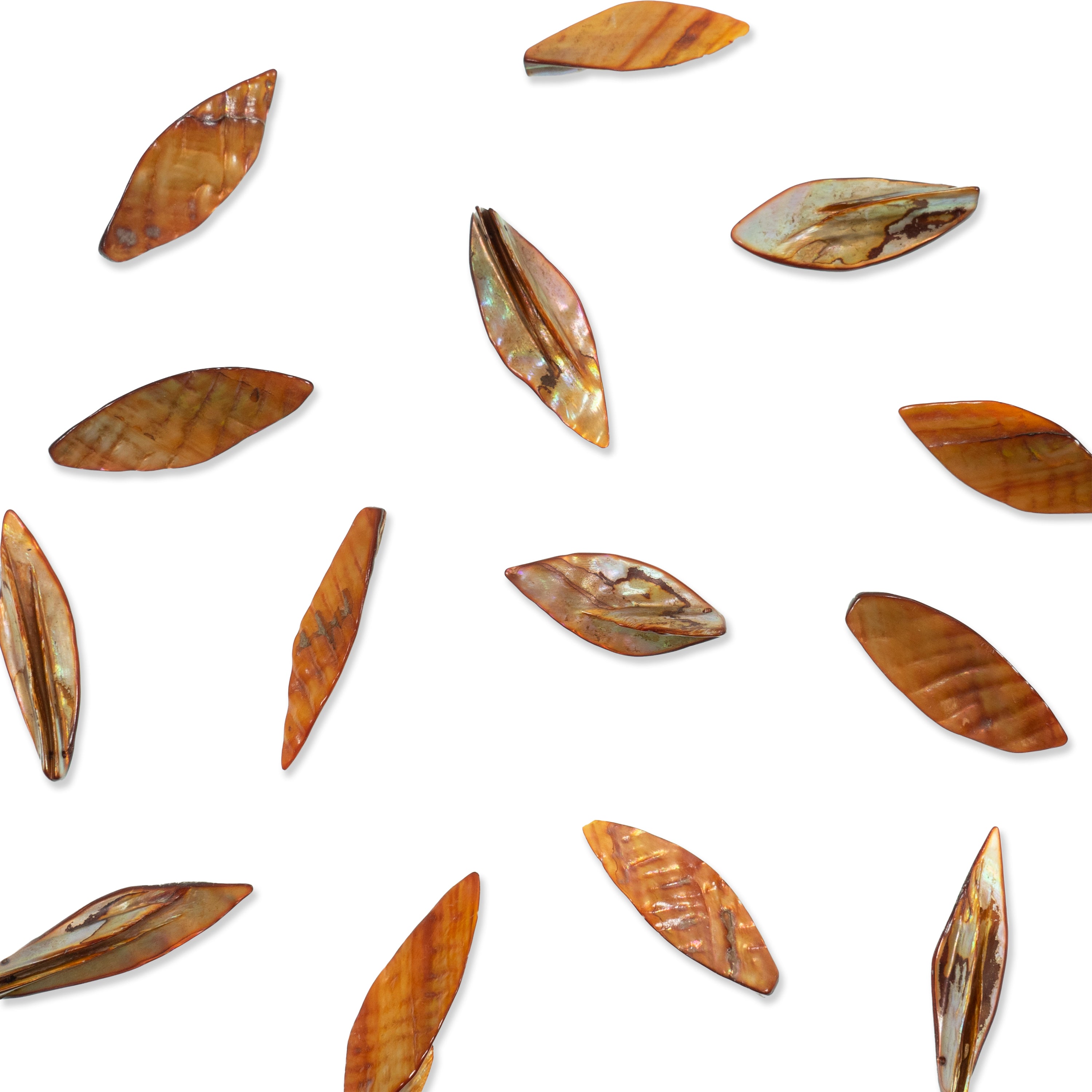 Sea Shell Hand Crafted Leaf Shape 14 Beads (15 x 45mm) - Beige - Natural Shell & Pearl Beads