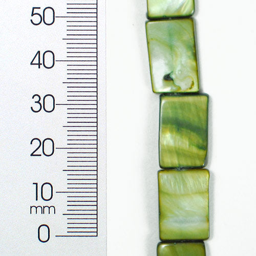 Sea Shell 10mm x15mm Hnad Crafted Beads (28 pcs) - Olive Shell & Pearl Beads