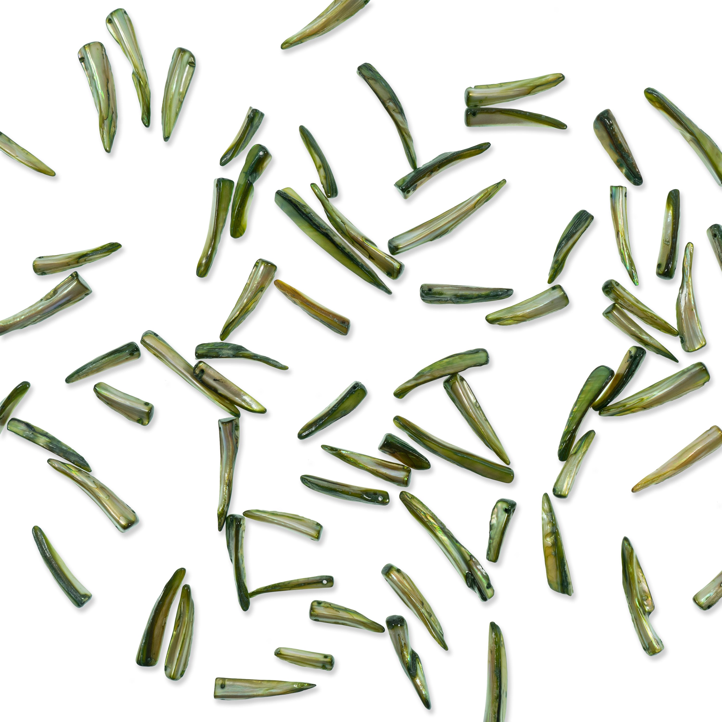 Sea Shell Spike Beads 16" Strand (62-66 ) Hand Crafted Tinted Olive Shell & Pearl Beads