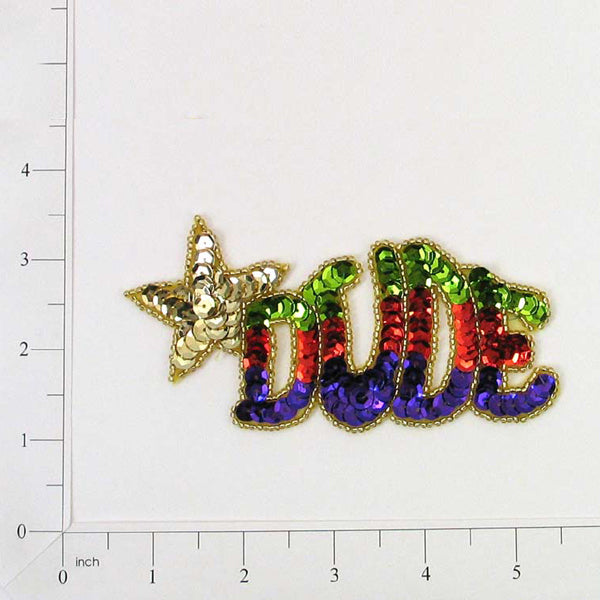 4 3/4" x 2 1/2" Dude Sequin Applique/Patch - Multi Colors Sequin & Beaded Appliques
