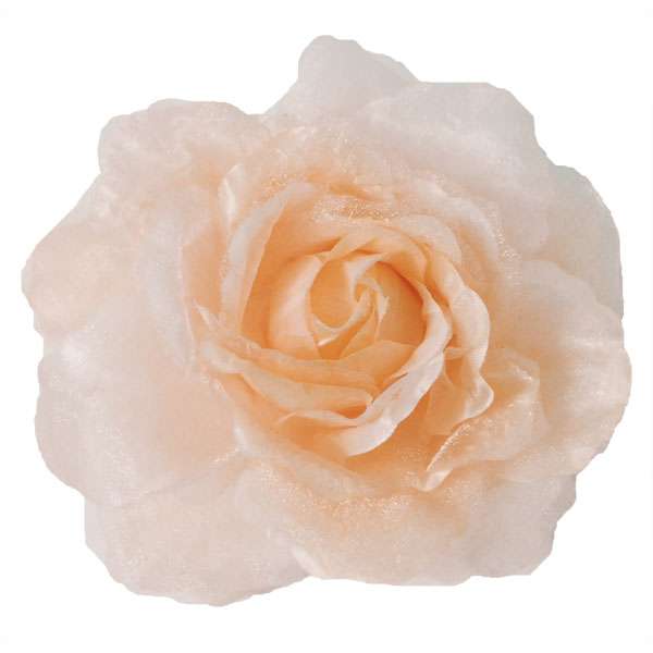 Riana Silk Flower Tieback Ivory Tassels and Tiebacks