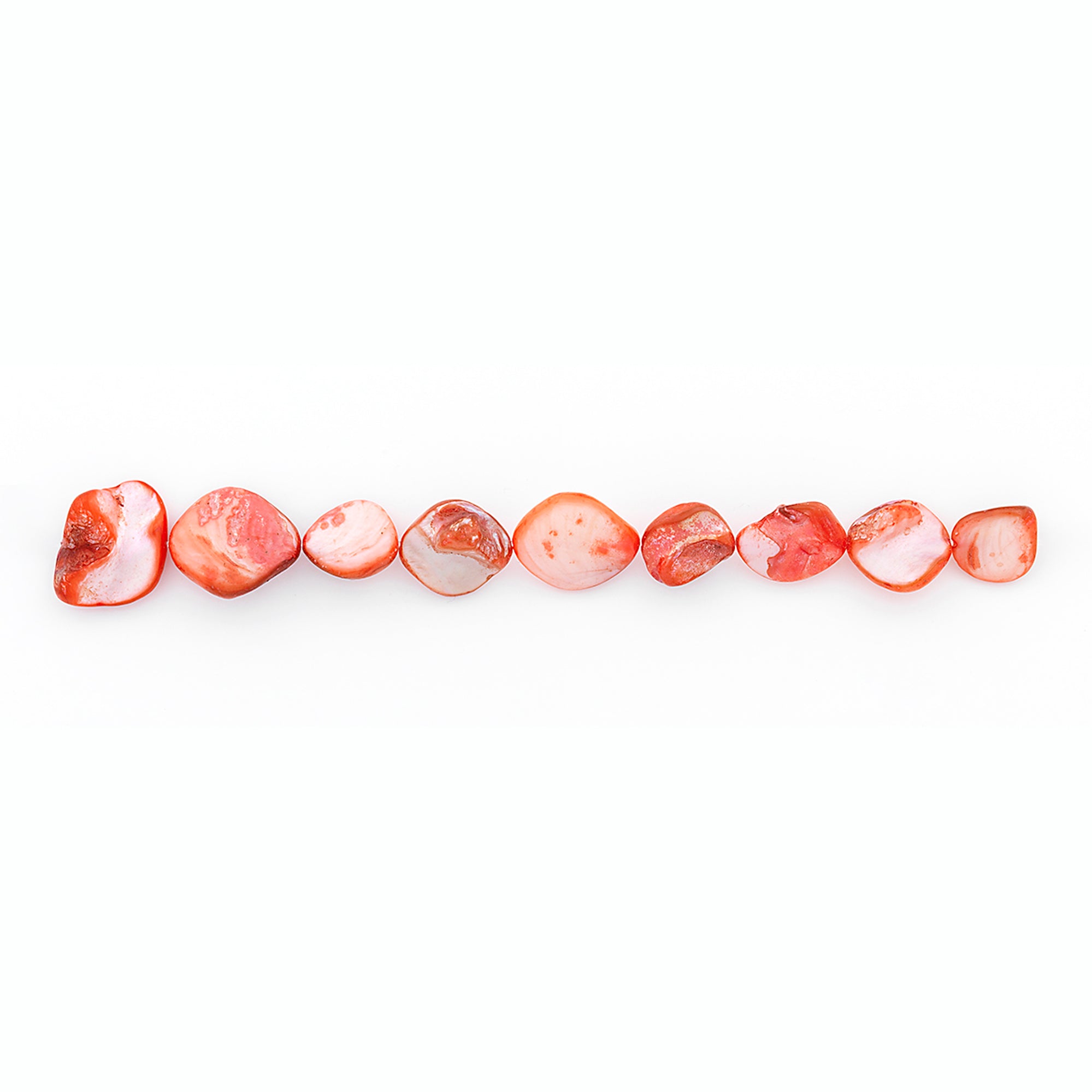 Sea Shell Chunky 12mm-18mm Beads PK/8 Tinted  Rust    - Natural