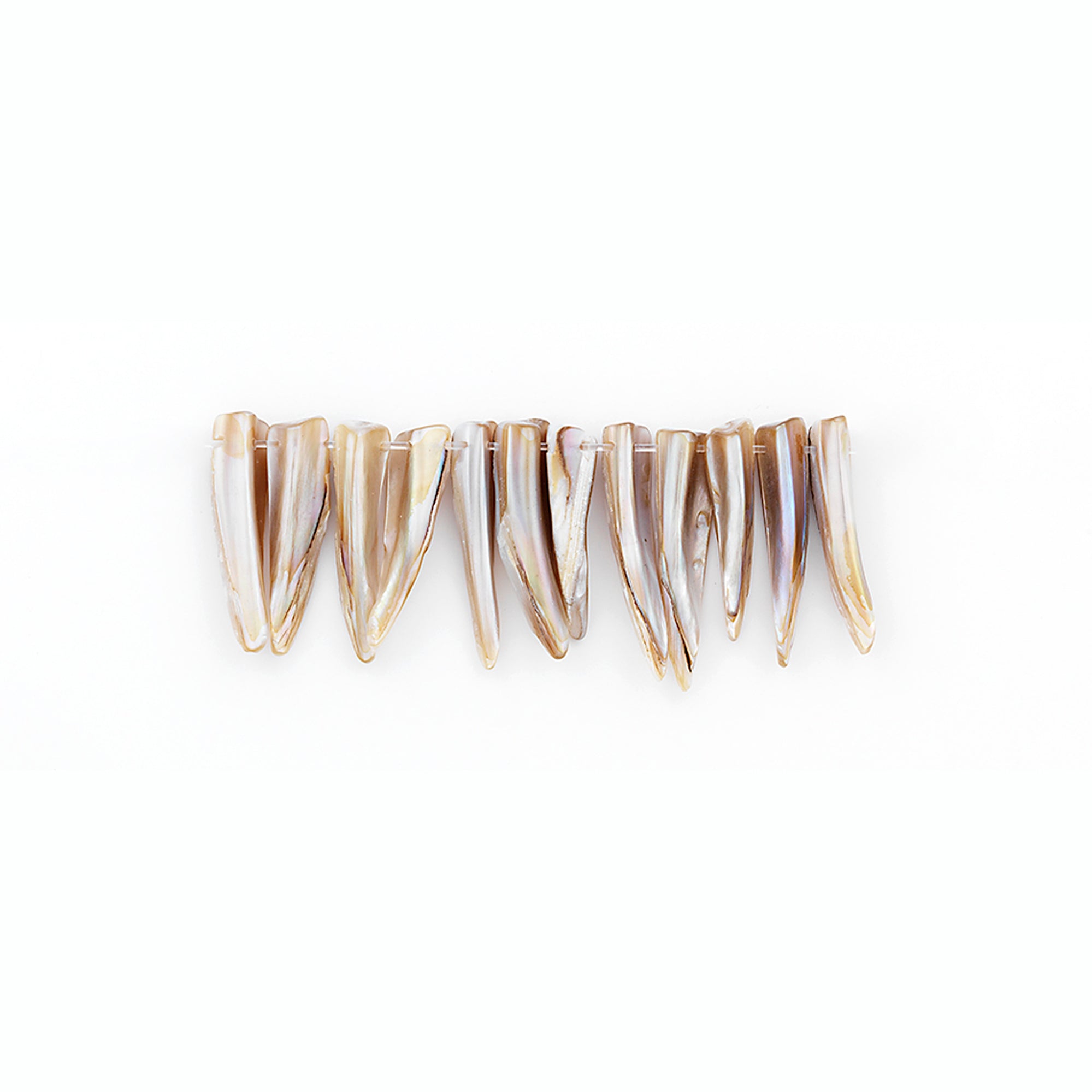 Sea Shell Spike Beads Hand Crafted Natural PK/12