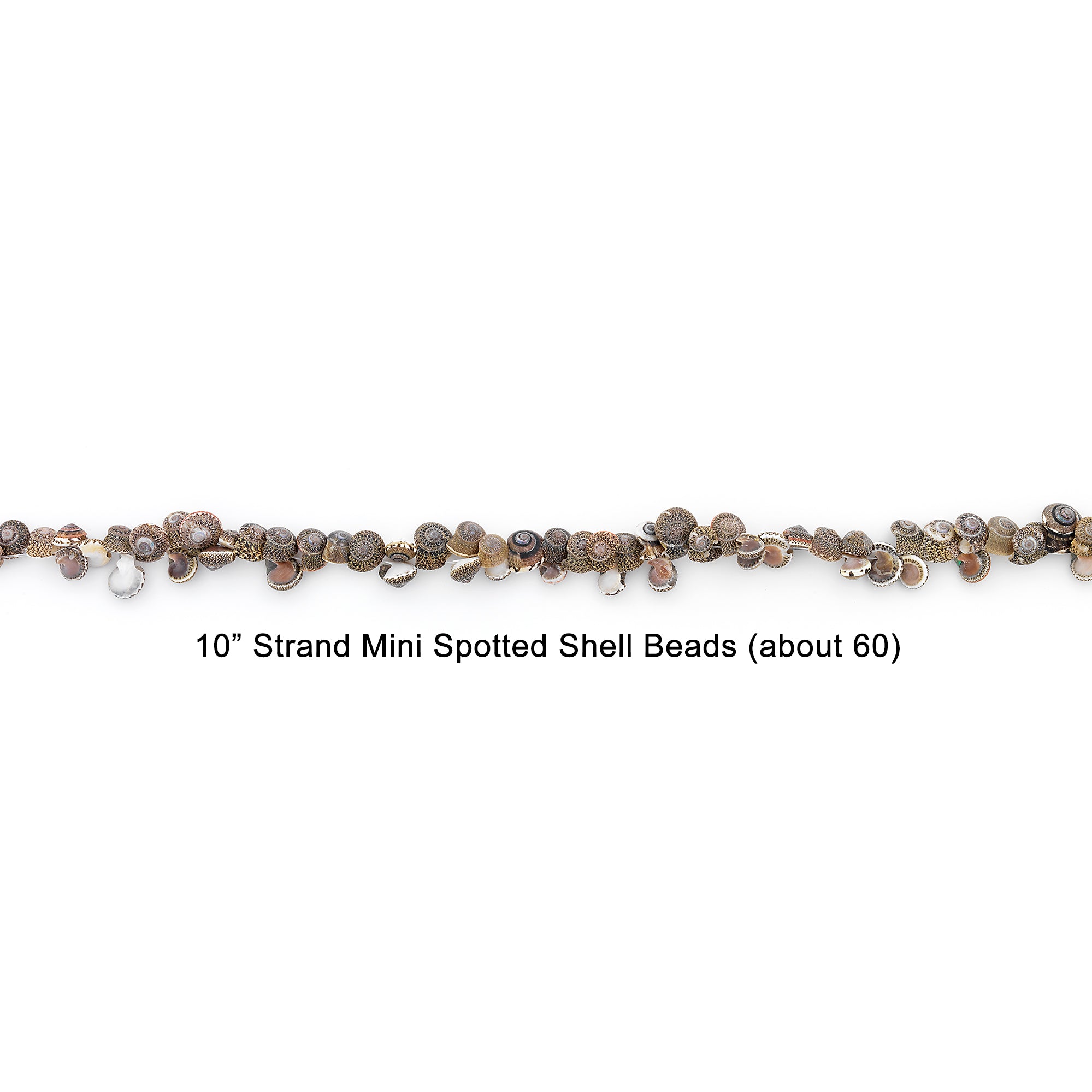 Spotted Mud Shell Beads - 26 pcs.  - Natural