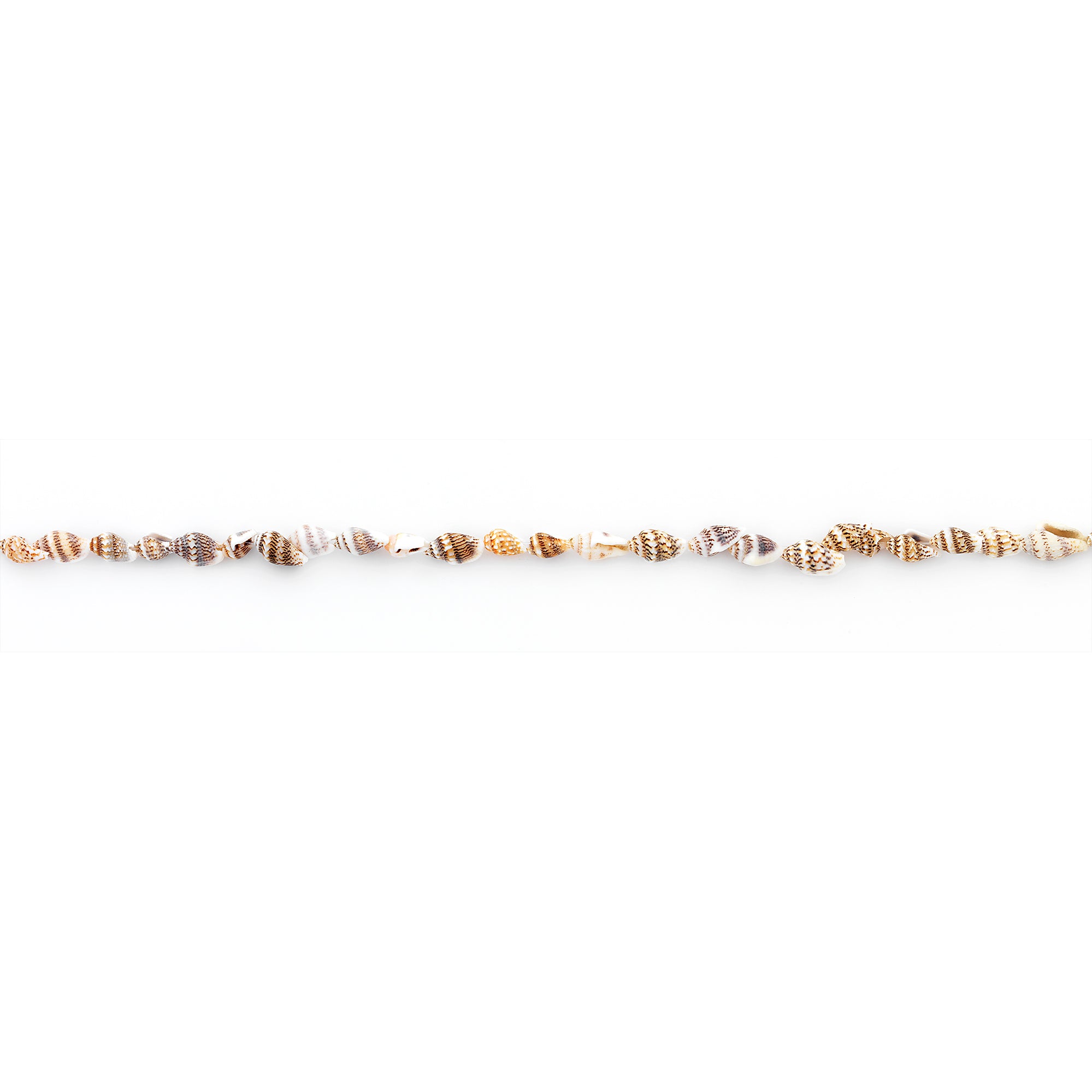 Baby Shell Spotted Beads -  25 Pc Pack  - Natural