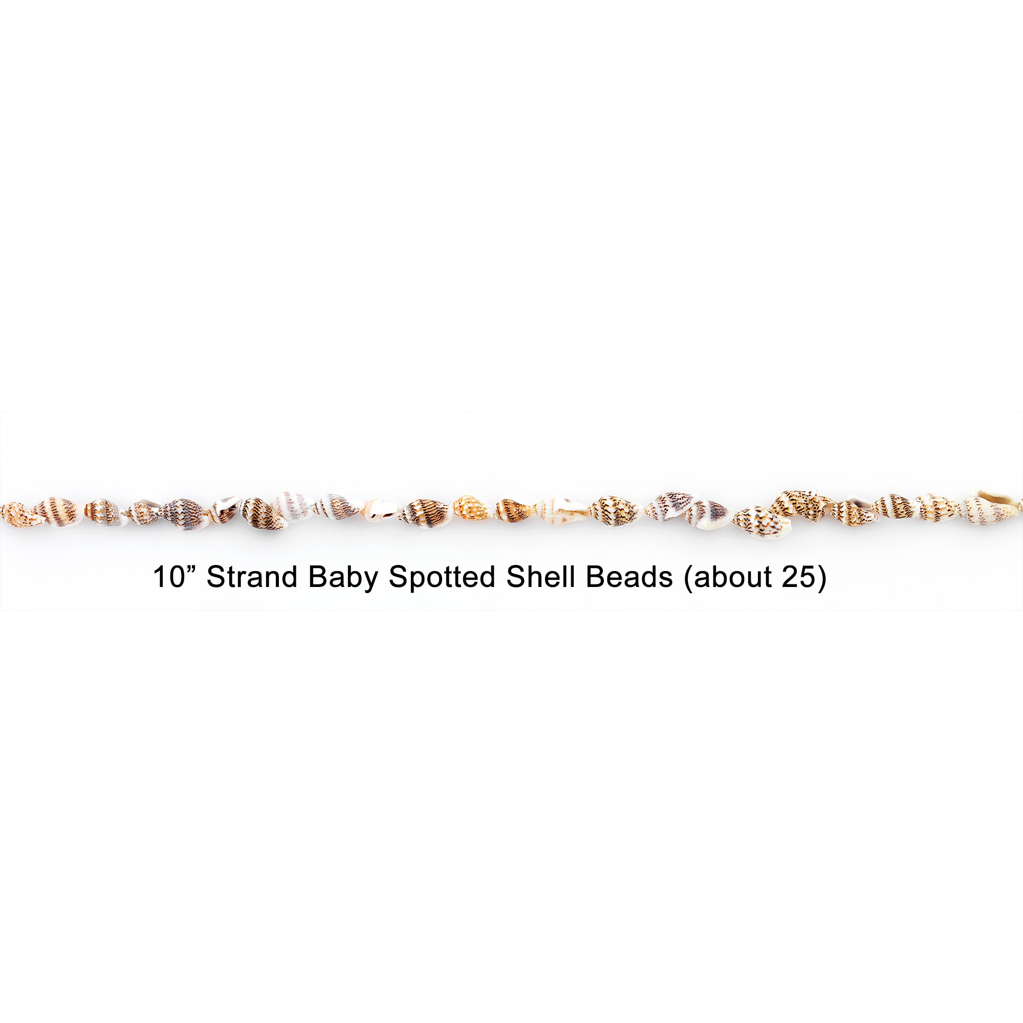 Baby Shell Spotted Beads -  25 Pc Pack  - Natural