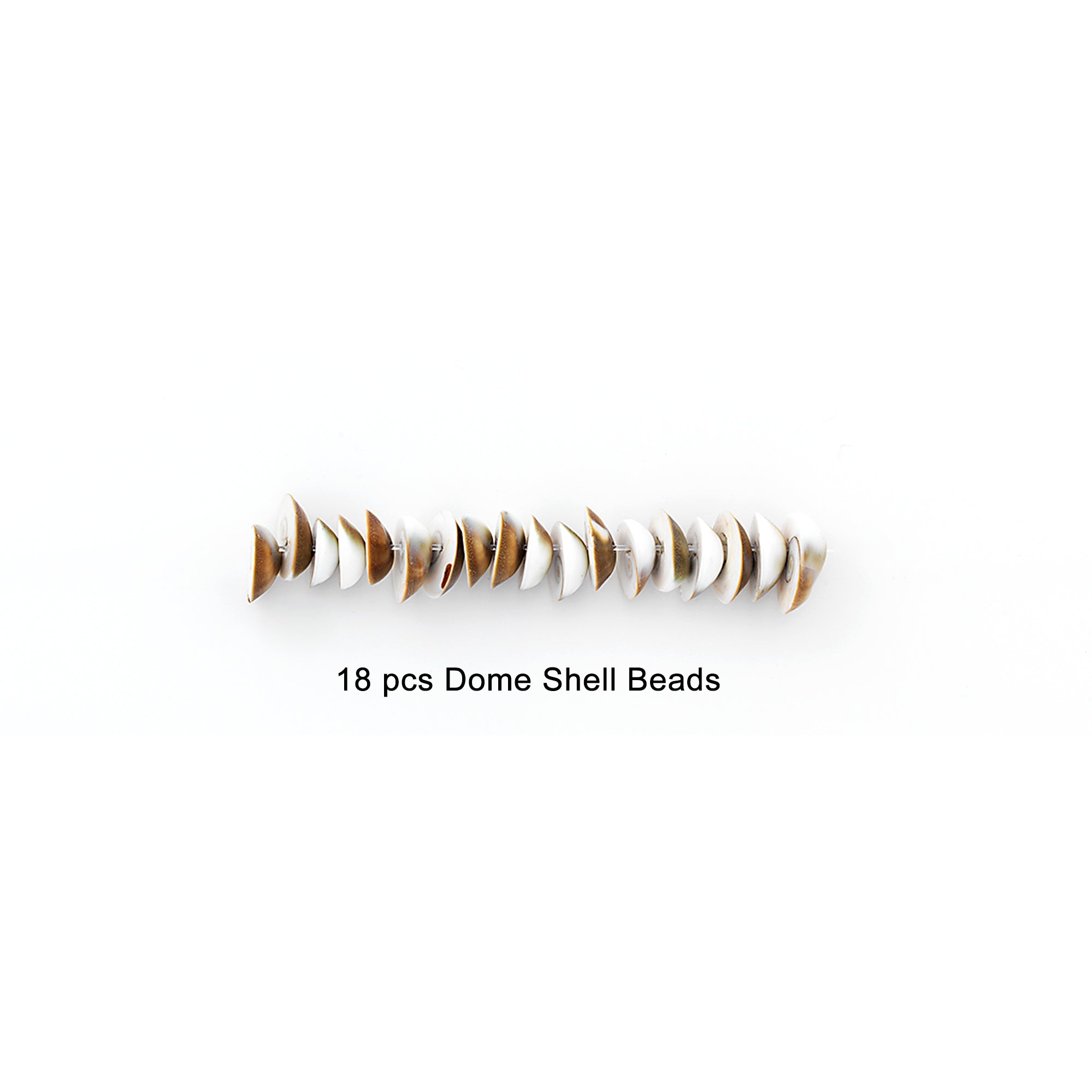 Sea Shell Dome Beads - Natural - 18 pcs.