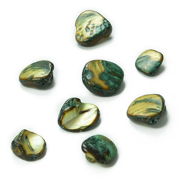 Sea Shell Chunky 12mm-18mm Beads PK/8 Tinted  Olive    - Natural