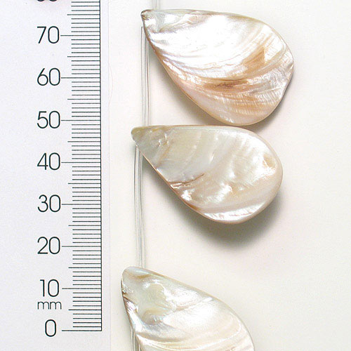 Sea Shell Hand Crafted Fan Shape 20x30mm Beads | Pk/16 | Natural