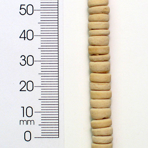 Coconut Beads 8mm Disks Ivory 2/8"  - Natural