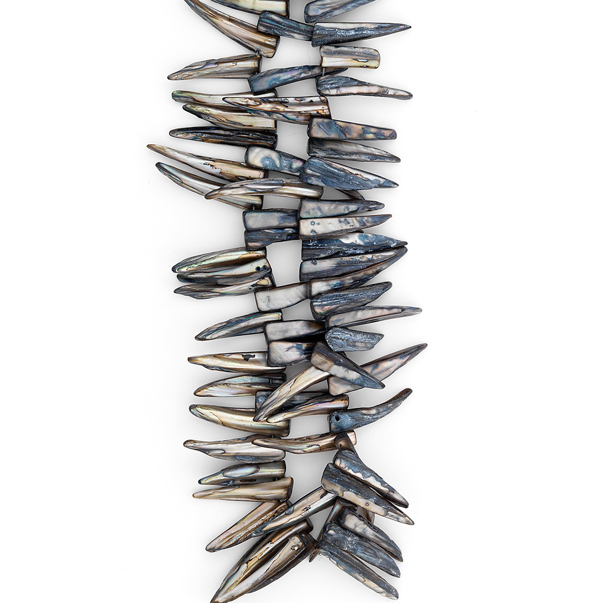 Sea Shell Spike Beads 16