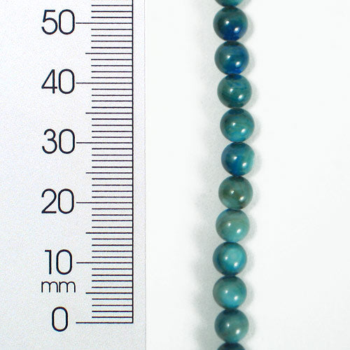 Tinted Shell 5mm Round Blue 2x8" Strand                    - Natural