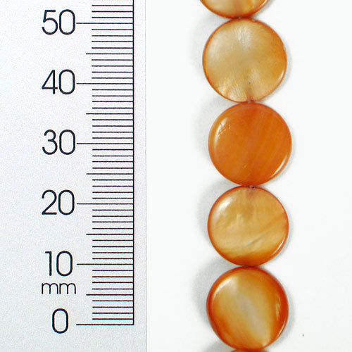 Tinted Shell 12mm Round Beige 2x8" Strand                  - Natural