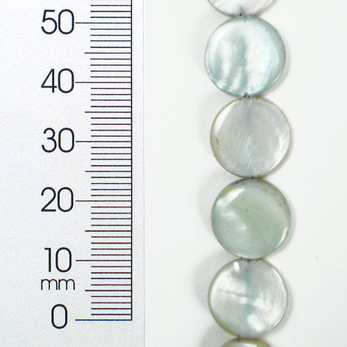 Tinted Shell 12mm Round Gray 2x8" Strand                   - Natural