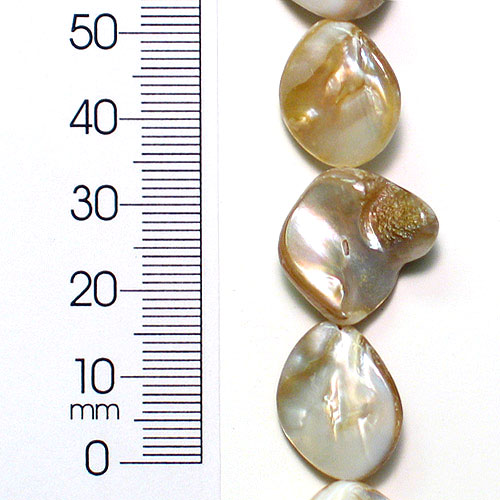 Sea Shell Chunky Beads 12mm-18mm on 16" Strand (20-22 bds)                   - Natural