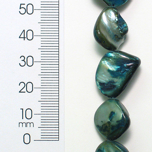 Sea Shell Chunky Beads 12mm-18mm on 16" Strand (20-22 bds)                   - Natural