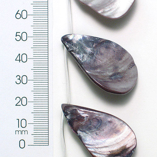 Sea Shell Hand Crafted Fan/Drop Shape Beads/Pendants Gray