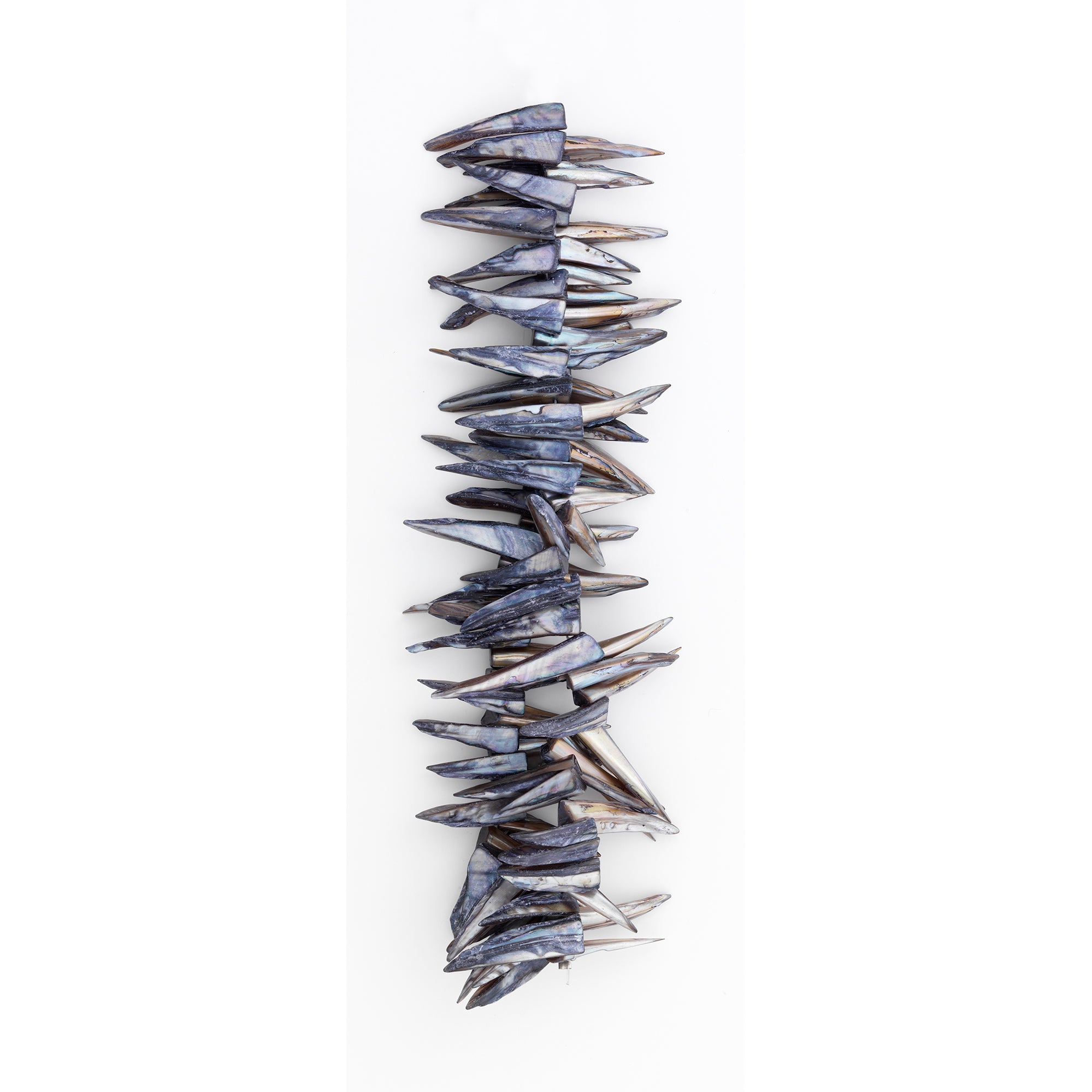 Sea Shell Spike Beads 16